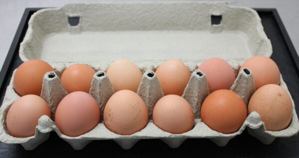 6 Oeufs fermiers